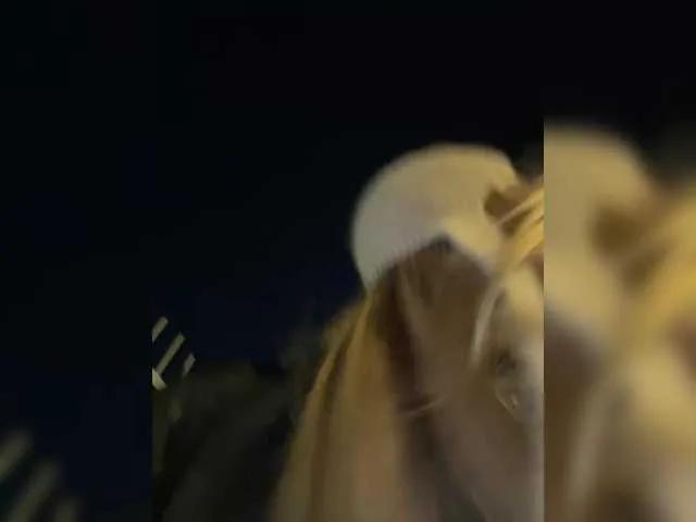 Freechat elegantbabe on BongaCams