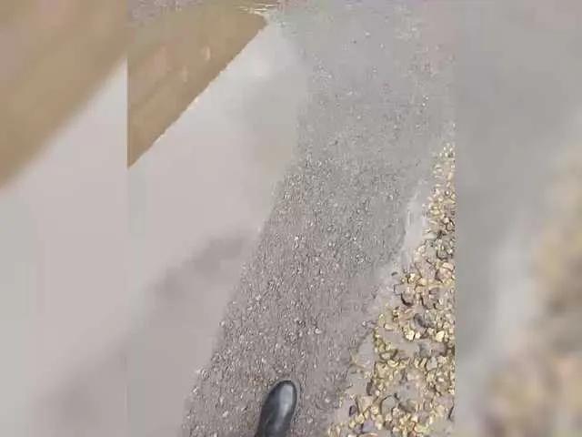 Freechat relishsavor on BongaCams