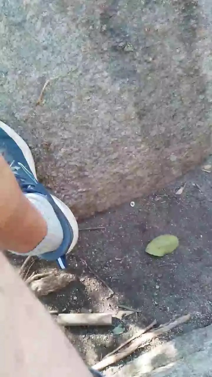 Offline Daddy_capixaba on Cam4