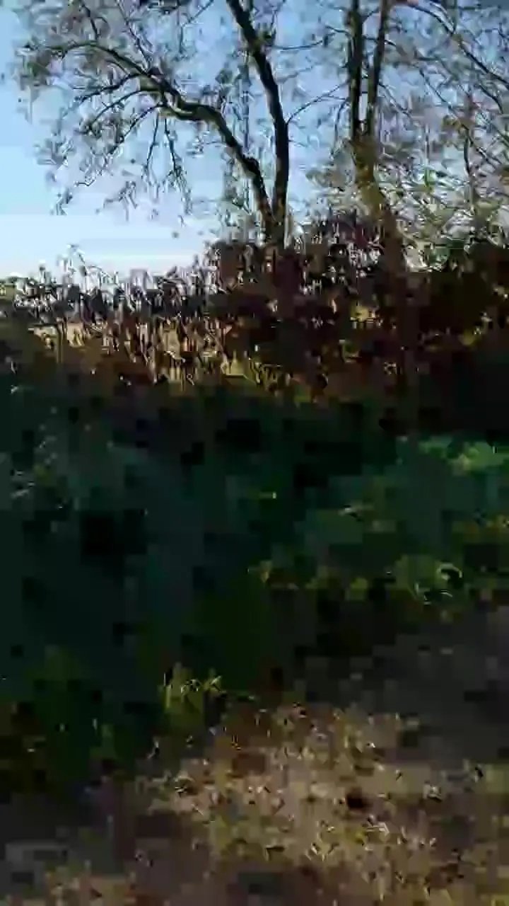 Offline luxxuriax on Cam4