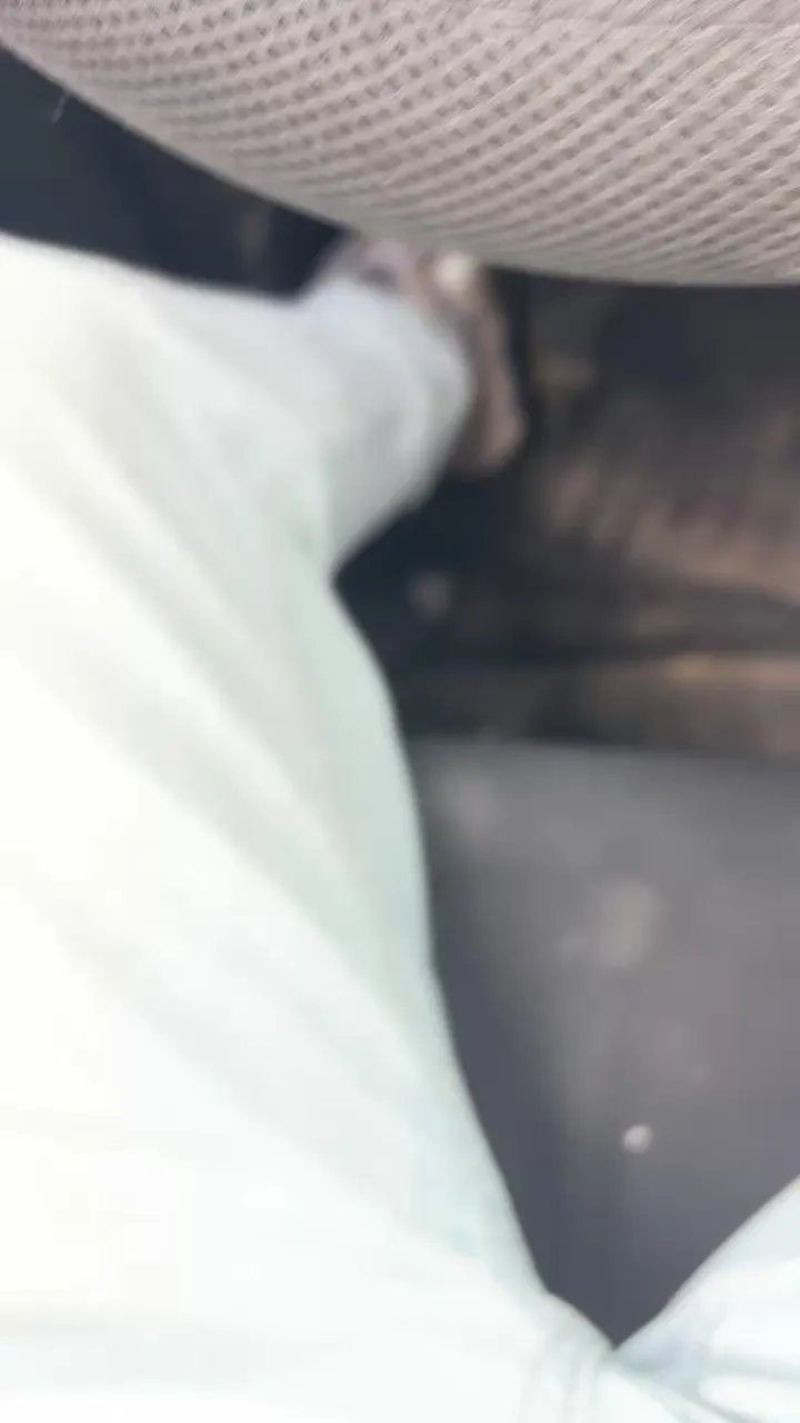 Setubal201 — Freechat on Cam4