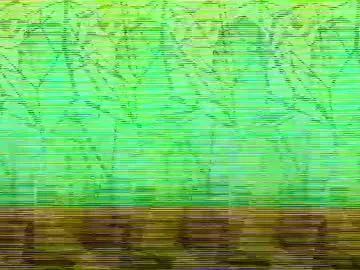 Freechat clay_black on Chaturbate