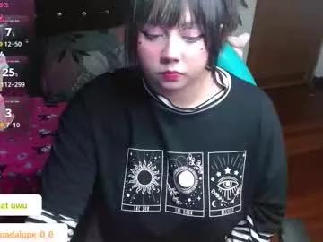 Freechat pink_cacti on Chaturbate