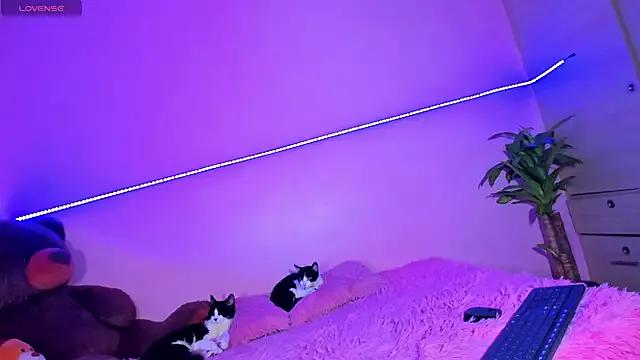 Freechat Canndy88htxx on StripChat