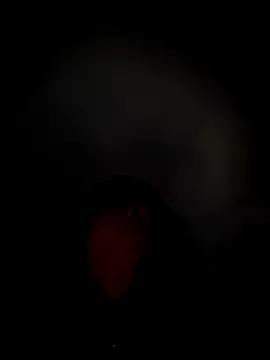 Freechat Hilary_pinkk on StripChat