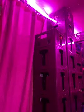 Hot_beauty__ on StripChat