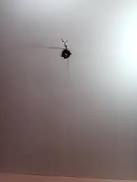 Freechat Megla879 on StripChat