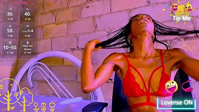 nzanizy — finance my own house until 2026