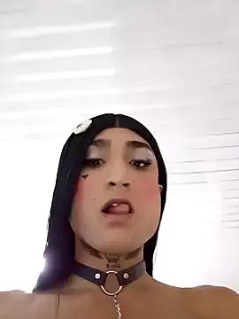 Freechat TRANSCOLOMBIA on StripChat