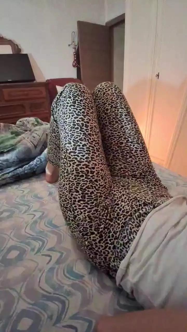 Pappone691 from Cam4